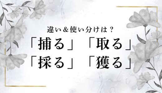 「捕る・取る・採る・獲る」の違いと使い分けを完全解説！